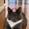 cocochicgirl